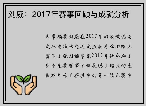刘威：2017年赛事回顾与成就分析